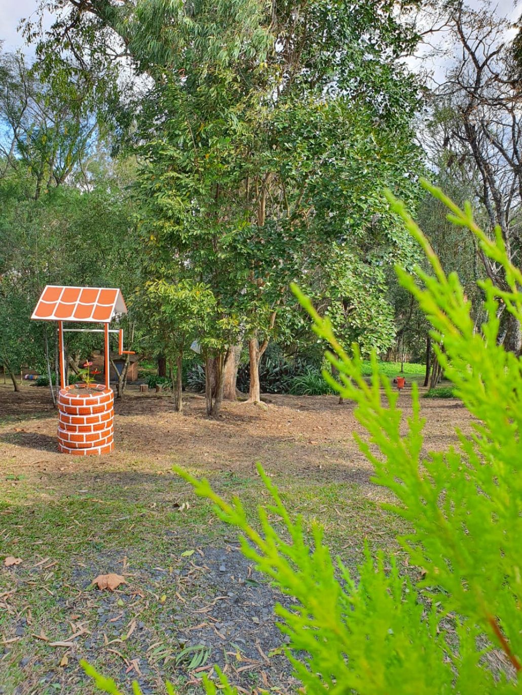 bosque 02 bosque 02